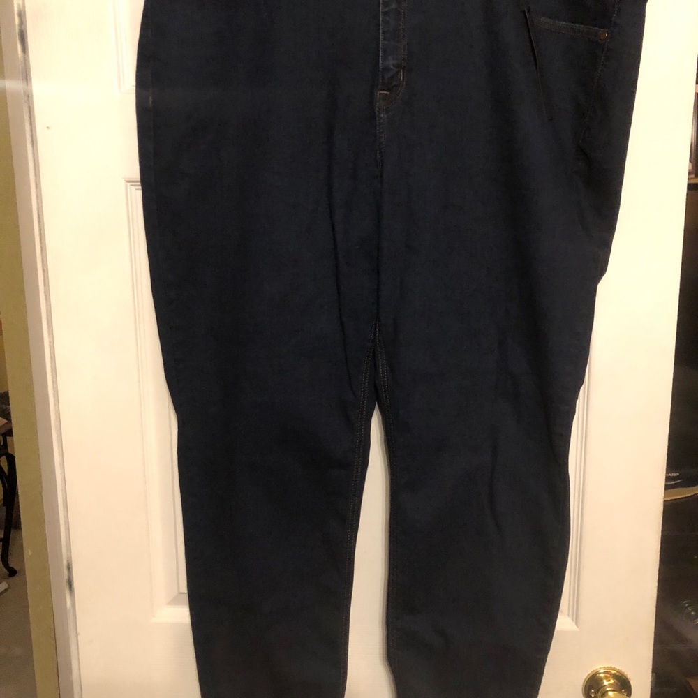 Lane Bryant Skinny Jeans